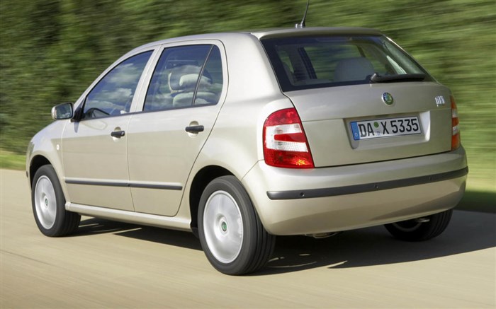 1.27 Бортовой компьютер Skoda Fabia