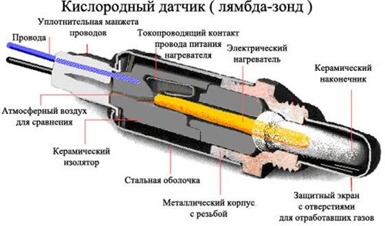 Поиск по сайту