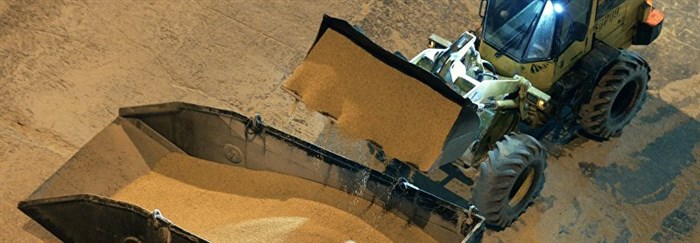 Экспорт российской кукурузы из России в Японию